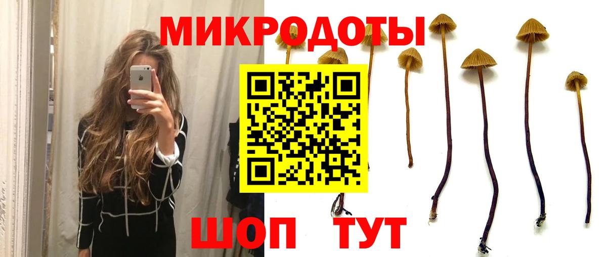 купить   Псилоцибиновые грибы Cubensis  Вход с VPN  Полевской 
